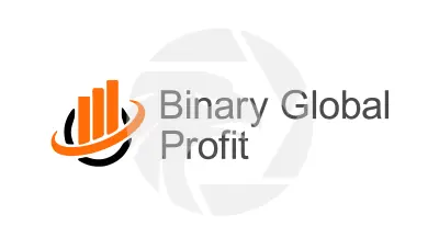 Binary Global Profit