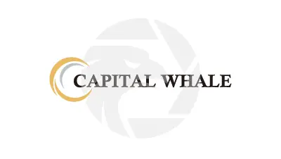 Capital Whale