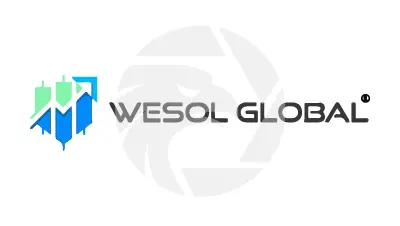 Wesol global