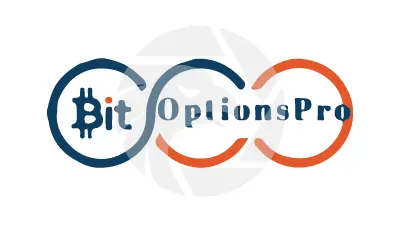 Bit Option Pro