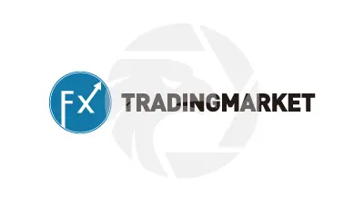 Tradingmarket.com