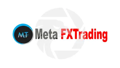 Meta FX Trading