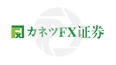 kanetsufx