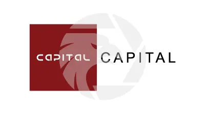 CAPITAL SECURITIES