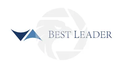 Best Leader
