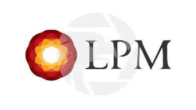 LPM GROUP LIMITED
