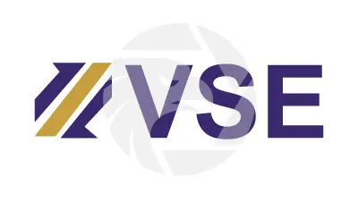 VSE