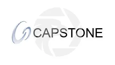 CAPSTONE凯石
