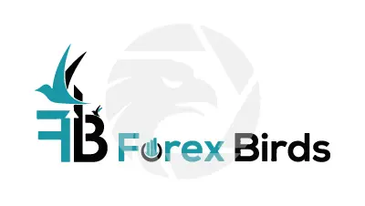 Forex Birds