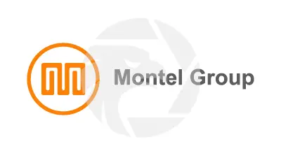 Montel Group