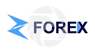 Z Forex