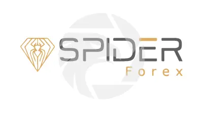 Spider Forex